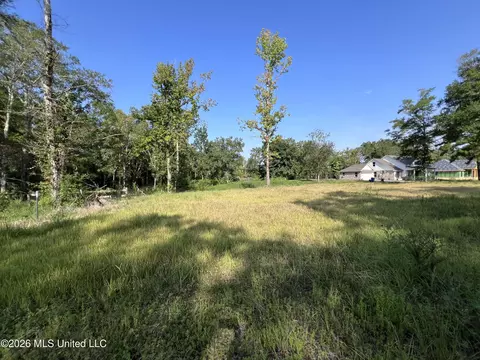 Rock Ranch Road, Carriere, MS 39426