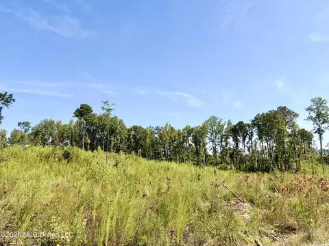 Terry Road, Kosciusko, MS 39090 photo 10