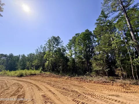 Terry Road, Kosciusko, MS 39090 photo 9