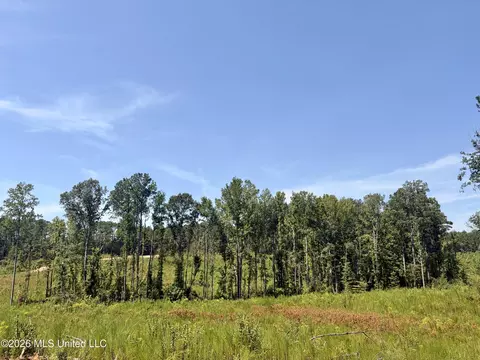 Terry Road, Kosciusko, MS 39090 photo 12