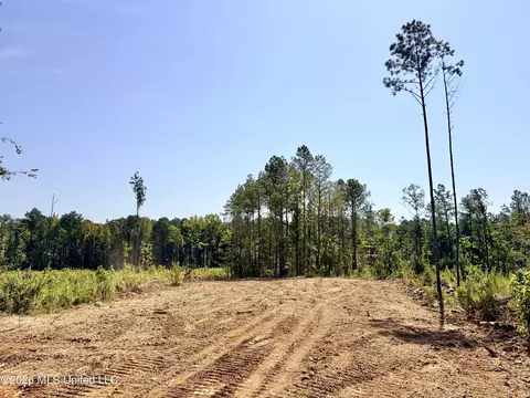 Terry Road, Kosciusko, MS 39090 photo 13