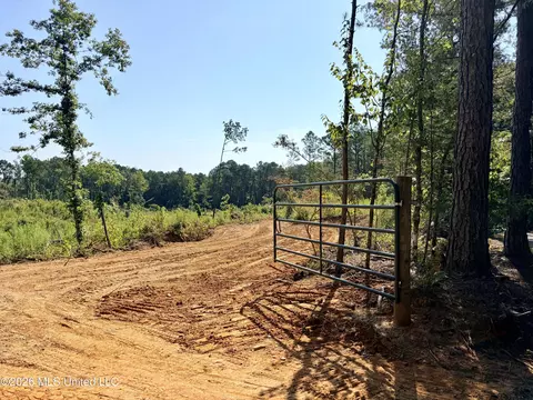 Terry Road, Kosciusko, MS 39090 photo 7
