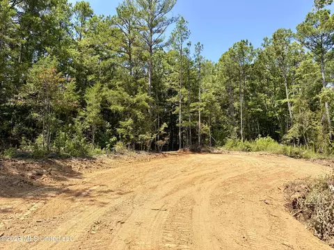 Terry Road, Kosciusko, MS 39090 photo 16