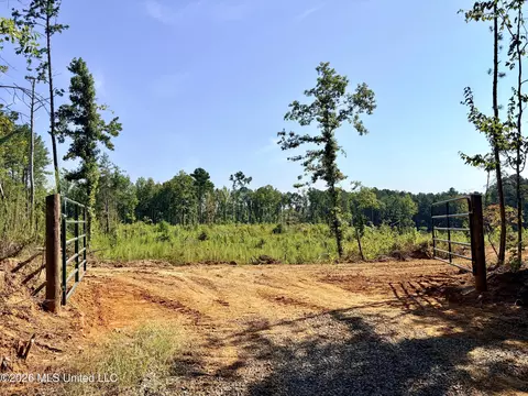 Terry Road, Kosciusko, MS 39090 photo 8