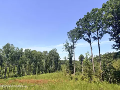 Terry Road, Kosciusko, MS 39090 photo 11