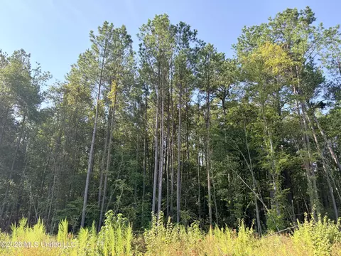 Terry Road, Kosciusko, MS 39090 photo 14