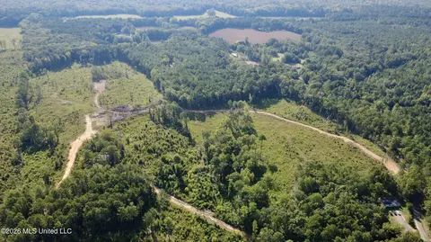 Terry Road, Kosciusko, MS 39090 photo 3