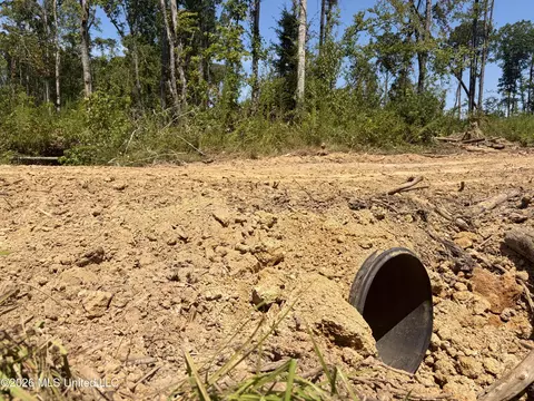 Terry Road, Kosciusko, MS 39090 photo 15