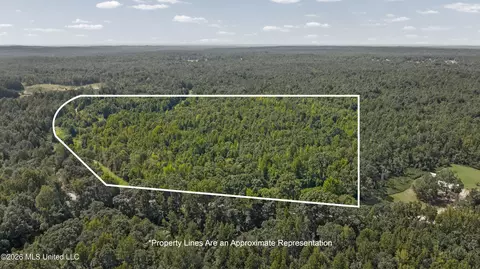 Musgray Road, Waterford, MS 38685