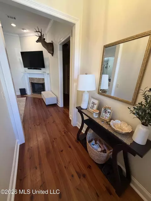 Entry Way - 101 Trailbridge Bnd, Canton, MS 39046 photo 2 of 4