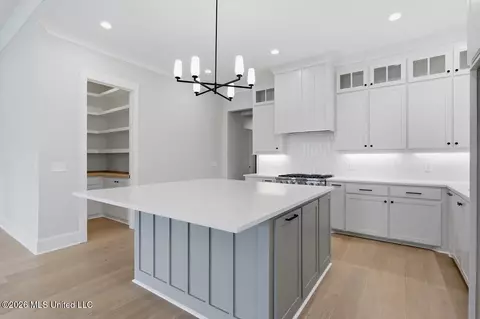 Kitchen - 142 Water St, Madison, MS 39110 photo 1 of 1