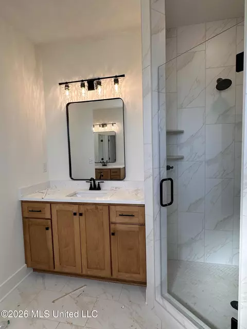 Bath - 3641 Kreunen St, Nesbit, MS 38651 photo 3 of 7