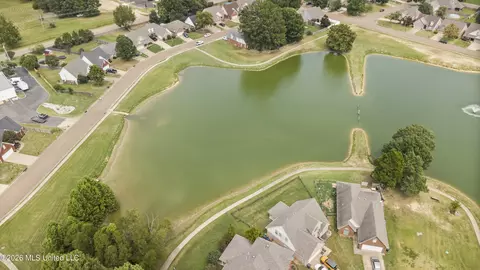 View/Area - 1148 Pocketwatch Dr, Hernando, MS 38632 photo 6 of 9