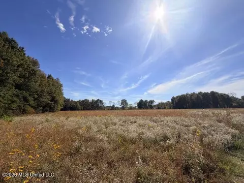 Wilson-bates Road, Morton, MS 39117