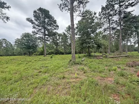 N Old 63 N Highway, Lucedale, MS 39452 photo 4