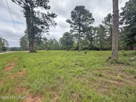 N Old 63 N Highway, Lucedale, MS 39452 photo 5