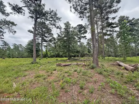 N Old 63 N Highway, Lucedale, MS 39452 photo 8