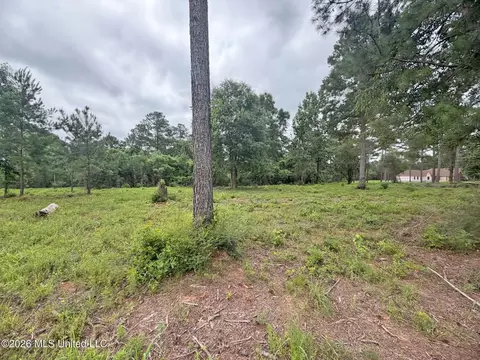 N Old 63 N Highway, Lucedale, MS 39452 photo 9