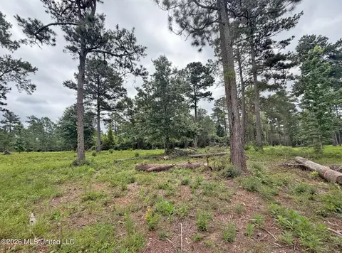 N Old 63 N Highway, Lucedale, MS 39452 photo 7