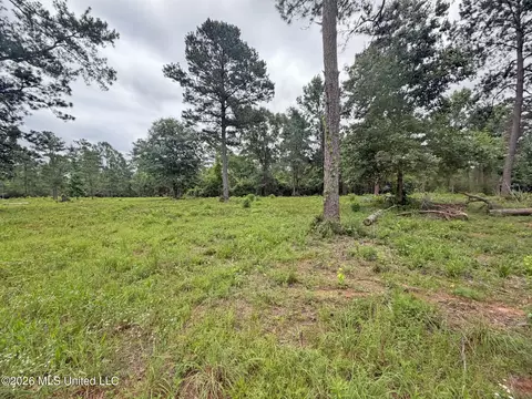N Old 63 N Highway, Lucedale, MS 39452 photo 6