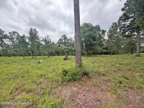 N Old 63 N Highway, Lucedale, MS 39452 photo 2