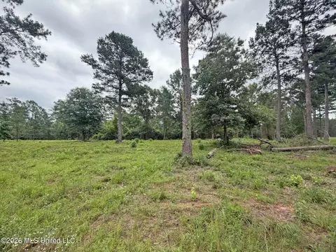 N Old 63 N Highway, Lucedale, MS 39452 photo 3
