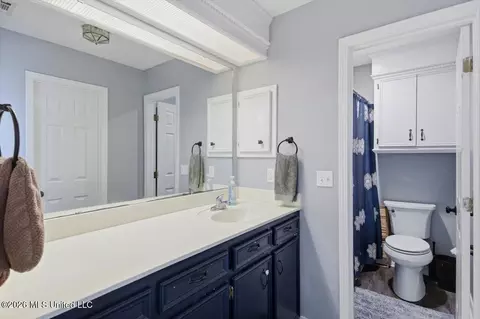 Bath - 1017 Prince Dr, Brandon, MS 39042 photo 1 of 2
