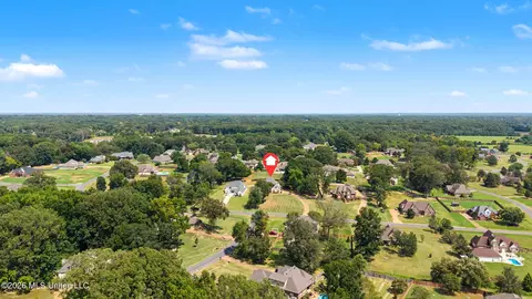 View/Area - 1424 Stone Gate Dr, Hernando, MS 38632 photo 5 of 5