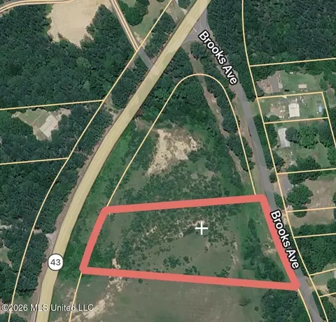 Hwy 43 N, Pelahatchie, MS 39145