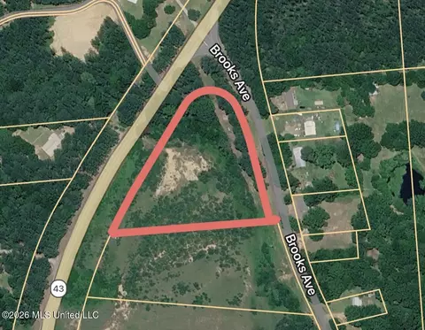 Hwy 43 N, Pelahatchie, MS 39145