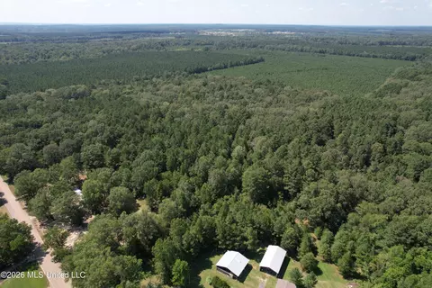 Holly Bush, Pelahatchie, MS 39145