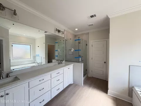 Bath - 346 Brookfield Cir, Brandon, MS 39042 photo 5 of 8