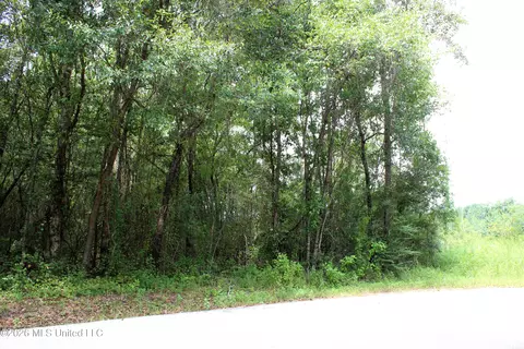Moddie K Road, Lucedale, MS 39452 photo 8