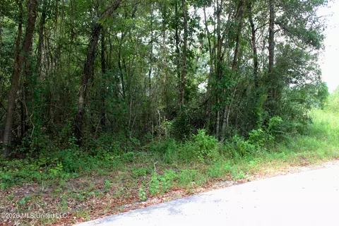 Moddie K Road, Lucedale, MS 39452 photo 7