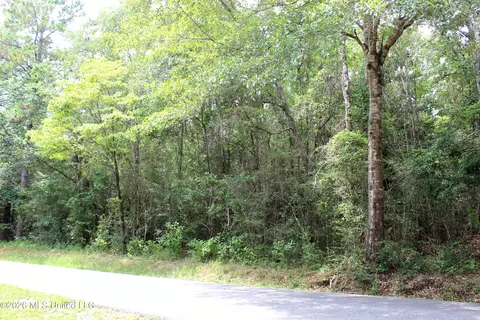 Moddie K Road, Lucedale, MS 39452 photo 2