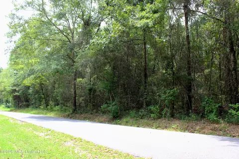 Moddie K Road, Lucedale, MS 39452 photo 3
