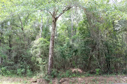 Moddie K Road, Lucedale, MS 39452 photo 6