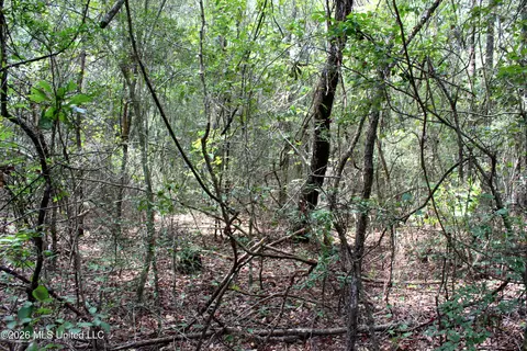 Moddie K Road, Lucedale, MS 39452 photo 5