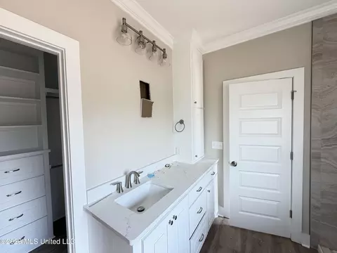 Bath - 343 Brookfield Cir, Brandon, MS 39042 photo 6 of 7