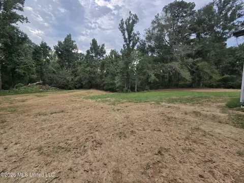 Exterior - 218 Salem Rd, Forest, MS 39074 photo 3 of 4