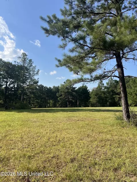 15528 Broadus Rd, Saucier, MS 39574 photo 2