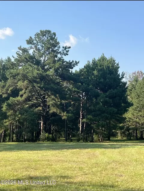 15528 Broadus Rd, Saucier, MS 39574 photo 7