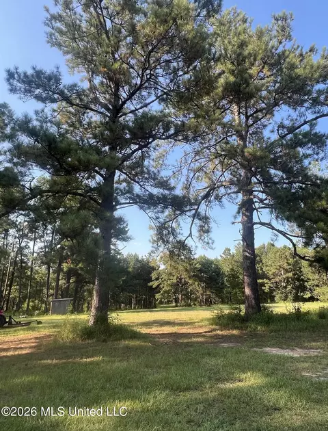 15528 Broadus Rd, Saucier, MS 39574 photo 13