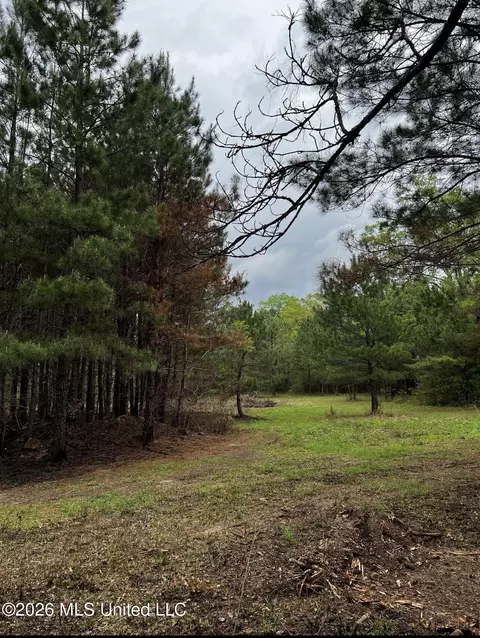 15528 Broadus Rd, Saucier, MS 39574 photo 6
