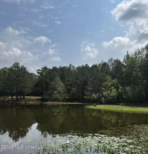 15528 Broadus Rd, Saucier, MS 39574 photo 3