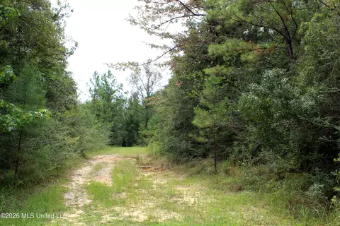 John Kelly Road, Lucedale, MS 39452 photo 3