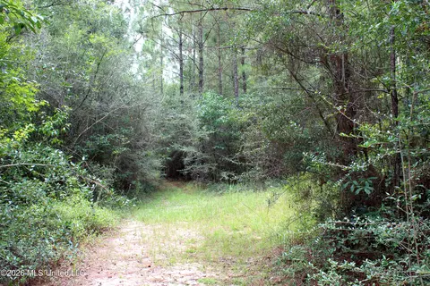 John Kelly Road, Lucedale, MS 39452 photo 6