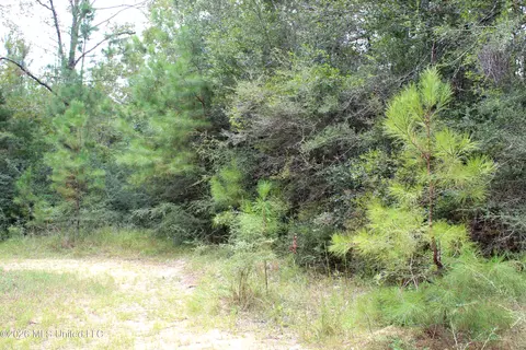 John Kelly Road, Lucedale, MS 39452 photo 8