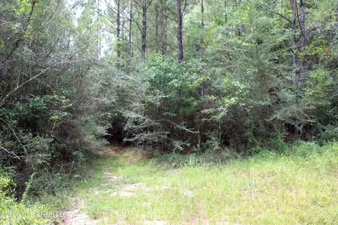 John Kelly Road, Lucedale, MS 39452 photo 5