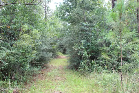 John Kelly Road, Lucedale, MS 39452 photo 2